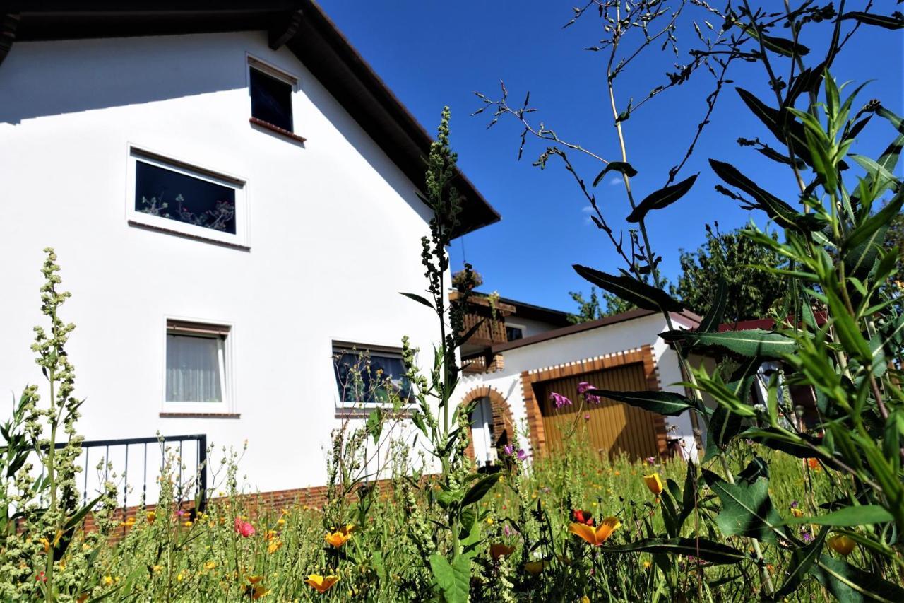 Ferienwohnung-M8 im schönen Werratal Jestadt Exterior foto